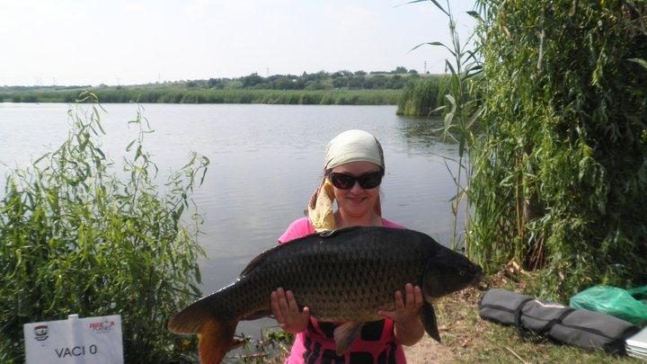 Diverse :) - 2605161953456405132453130893n.jpg